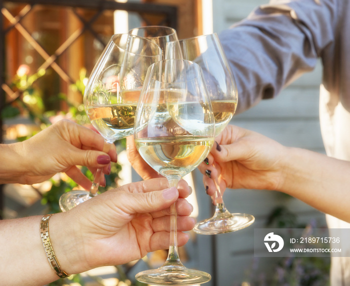 Family of different ages people cheerfully celebrate outdoors with glasses of white wine, proclaim t