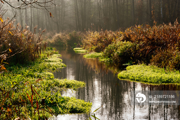 Złota Polska Jesień nad rzeką Supraśl, Podlasie, Polska