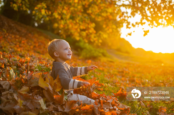 Childhood memories. Child autumn leaves background. Warm moments of autumn. Toddler boy blue eyes en