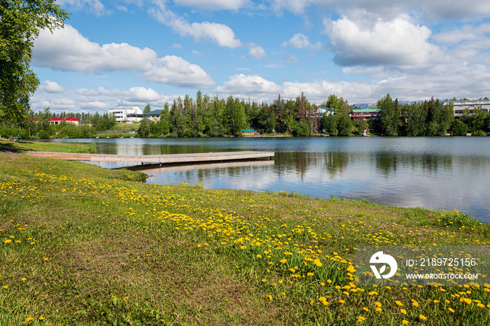 Dandelions and Lake