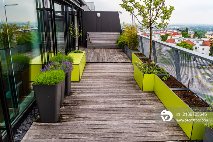 Rooftop terrace with  green and terracotta furniture on a wooden deck