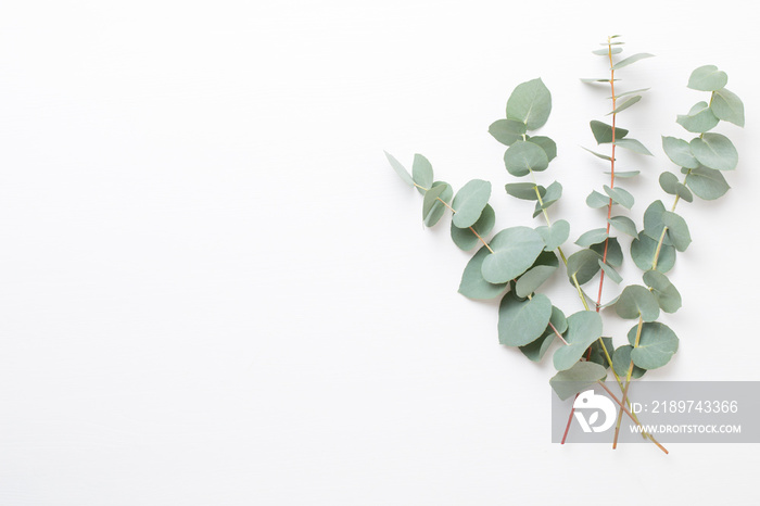 Flowers and eucalyptus composition. Pattern made of various colorful flowers on white background. Fl