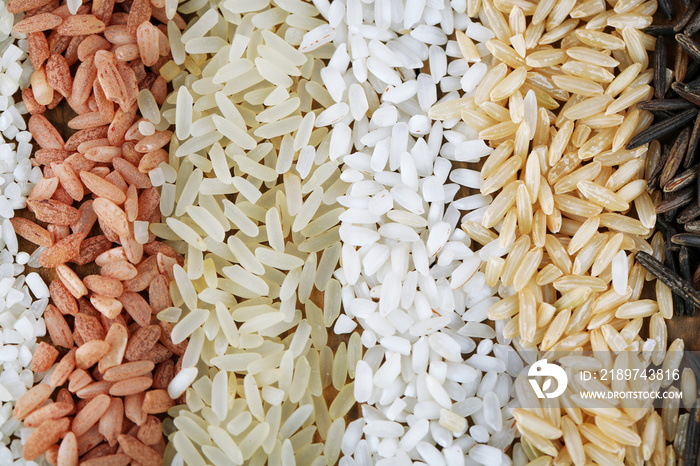 Different types of rice close up