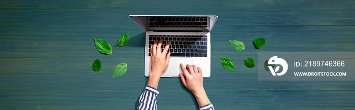 Person using a laptop computer with green leaves from above