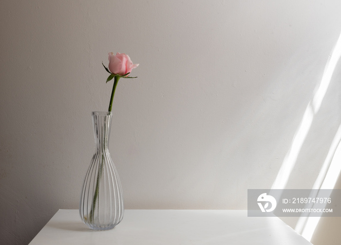 白色桌子上的玻璃花瓶里有一朵粉红色的玫瑰，背景为中性，带有窗户灯