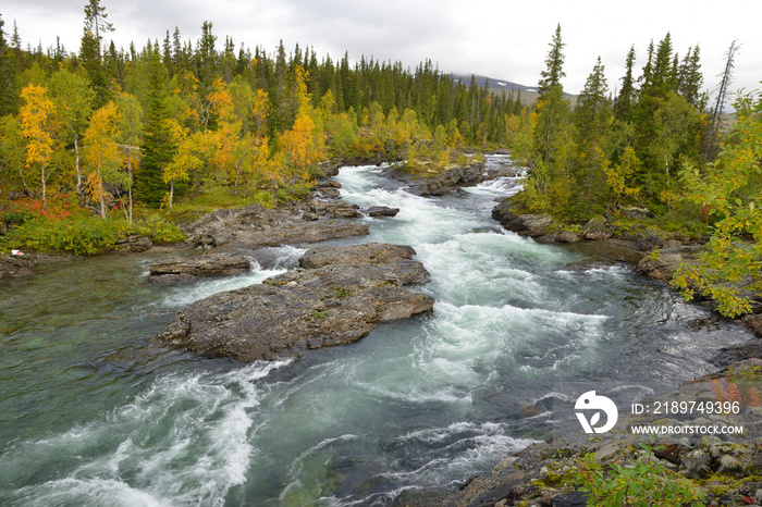 Auf der Wildnisstraße (schwedisch Vildmarksvägen) entlang der Schwedisch-Norwegischen Grenze