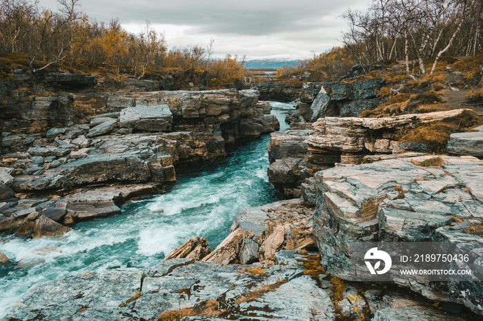 rough river flowing in the canyon of Abisko National Park in polar Sweden in golden autumn against t