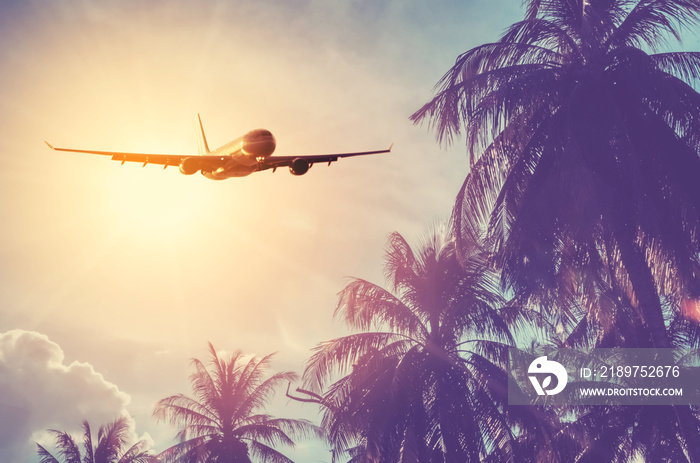 飞机飞越热带棕榈树和日落的天空抽象背景。
