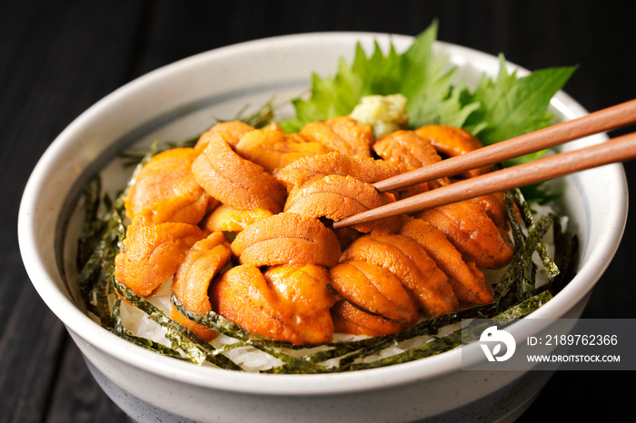 ウニ丼　Bowl of rice topped with sea urchin
