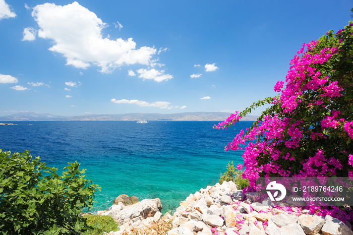 地中海景观。蓝天碧水，前景是美丽的花朵
