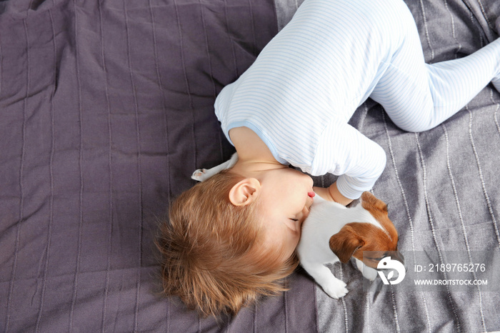 Cute little boy with funny puppy on bed at home