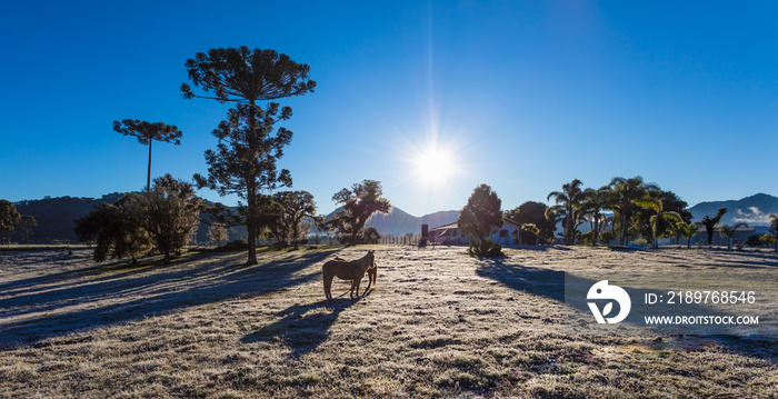 Amanhecer com geada na área rural