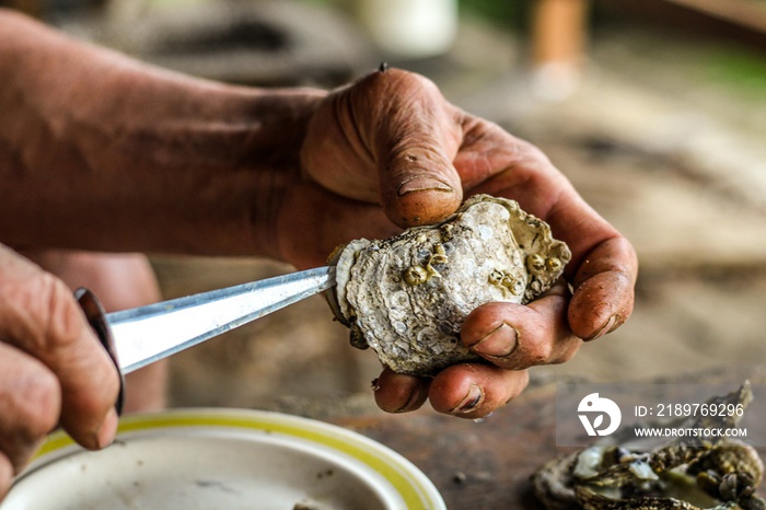 Selective Focus Closeup of a Mans Large Strong Hands using an Oyster Knife to Demonstrate how to Sh