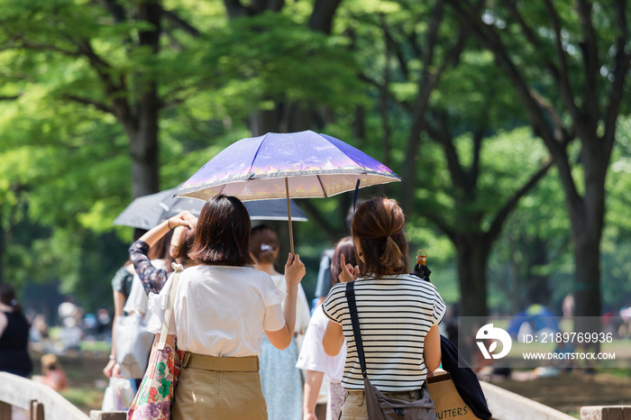 日傘をさす女性の後ろ姿