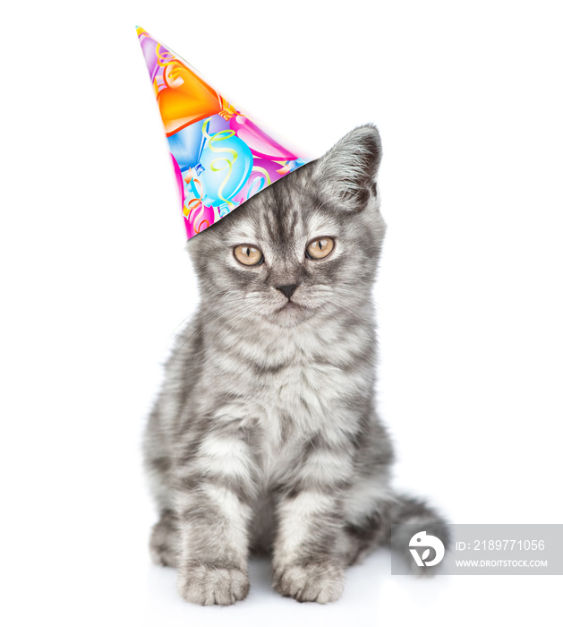 Tabby kitten in party hat sitting in front view and looking at camera. isolated on white background