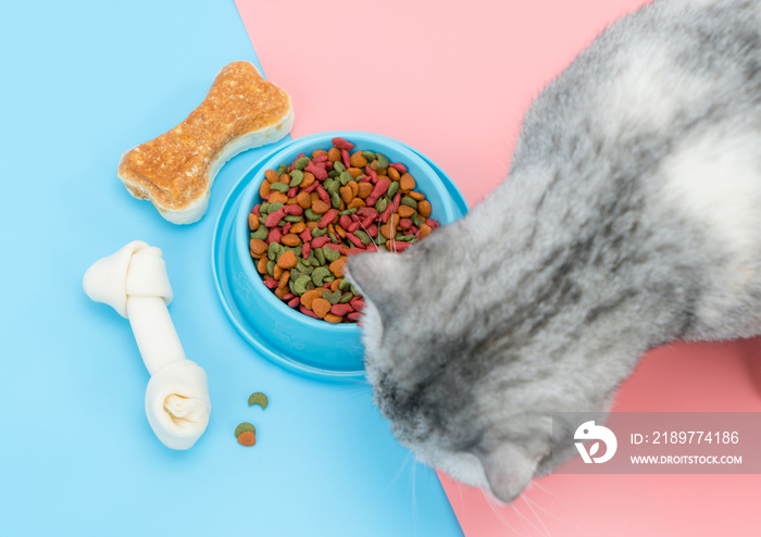 Pet food and snack, bone with cat eating