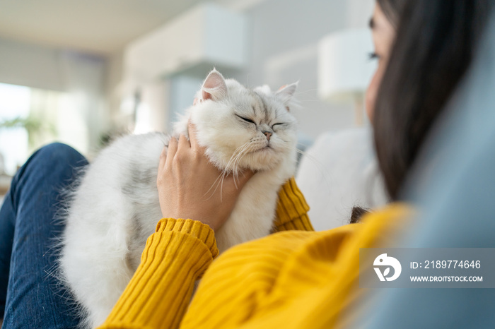 亚洲女人在家里快乐地抱着小猫玩耍。