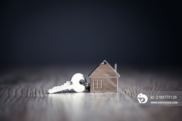 house model and house key