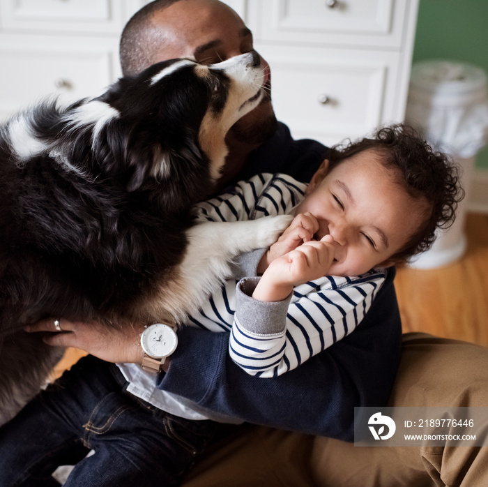 High angle view of dog playing with father and son sitting at home