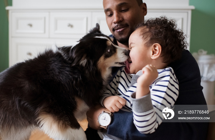 Father looking at dog licking cute son while sitting against cabinet in room