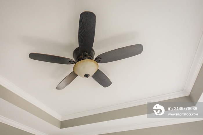 Modern New Construction White Clean Master Bedroom Fan