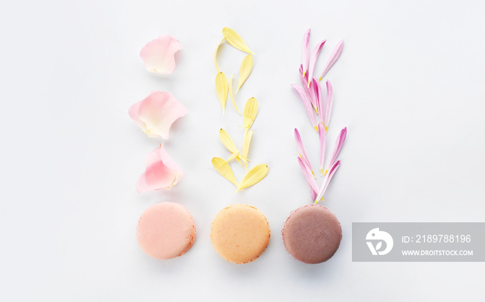 Different tasty macarons with flower petals on white background