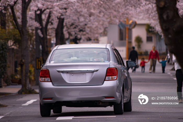 桜並木の住宅街を走行するシルバーの自動車