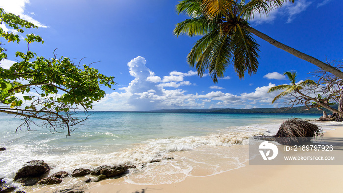 Cayo Levantado: Antillen, Karibik, Ferien, Tourismus, Sommer, Sonne, Strand, Auszeit, Meer, Glück, E