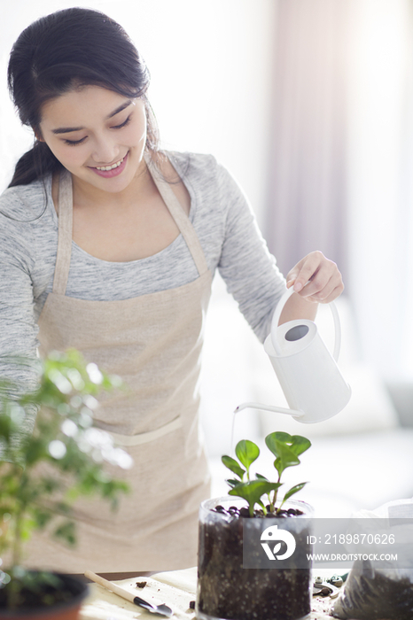 年轻女子在家种植盆栽