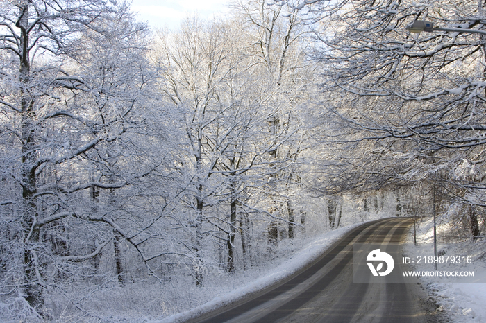 Sweden, road in winter