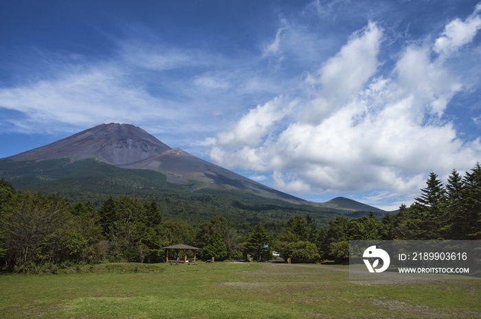 Mount Fuji and Grassland, Fujinomiya, Shizuoka Prefecture, Japan