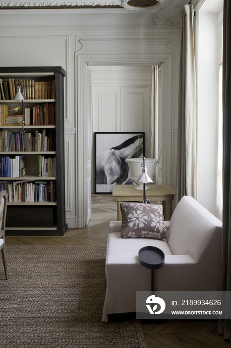 Sofa and book shelf in living room