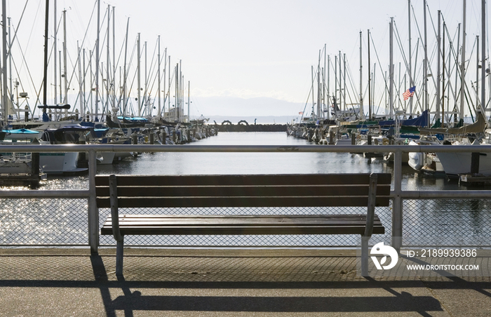 Marina Bench