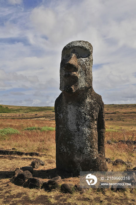 Moai Statue in Easter Island, Chile