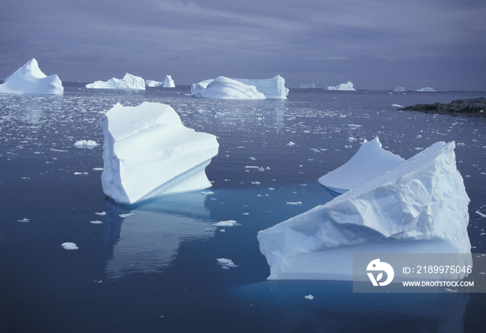 Antarctic Peninsula, iceberg