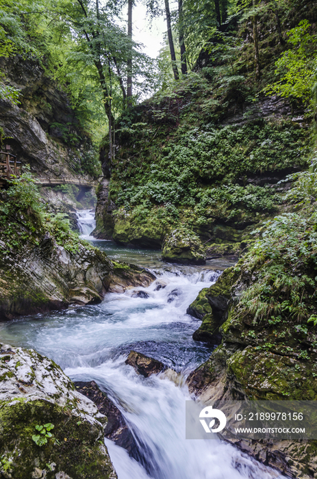 Vintgar Klamm