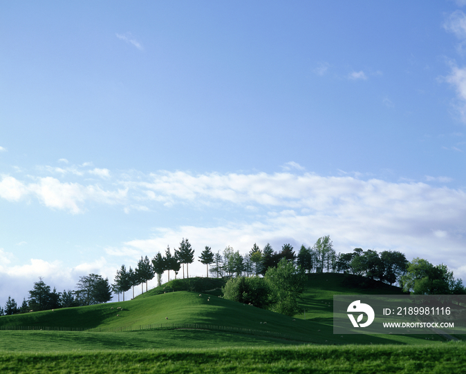 New Zealand, North Island, landscape