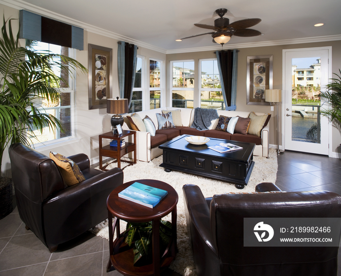 Leather armchairs and sofa in living room