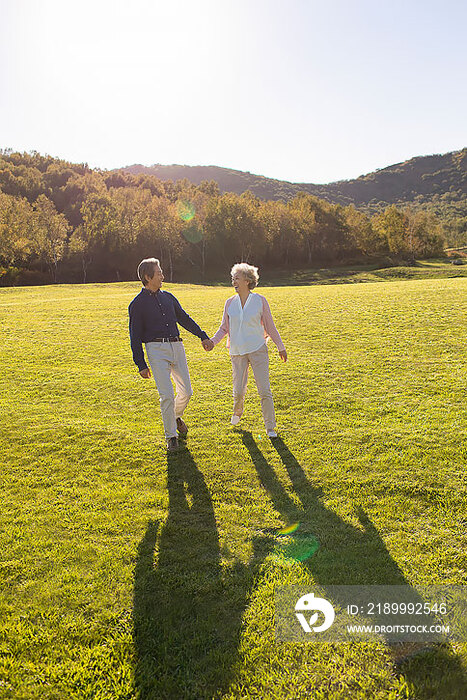 快乐的老年夫妇手牵手在草地上散步
