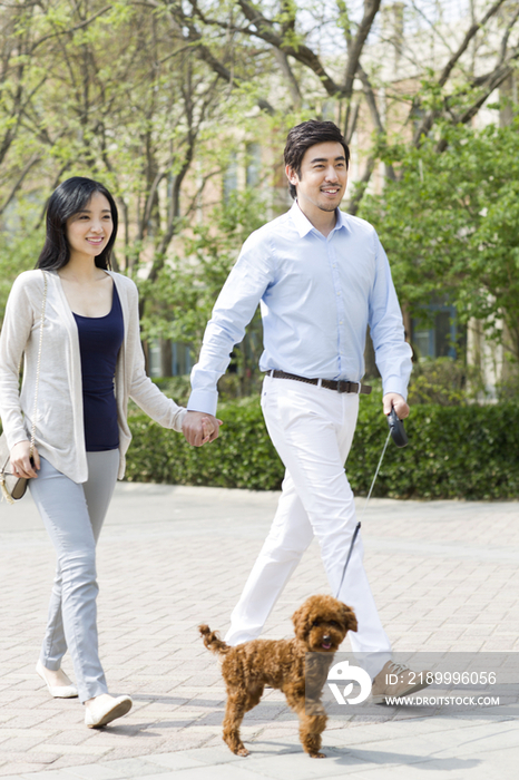 年轻夫妇带着宠物狗散步