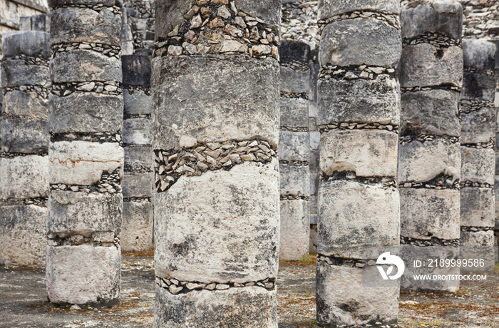 Columns in the Temple of a Thousand Warriors