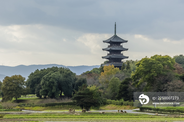 Five-Story Pagoda of Bitchu Kokubunji Temple, Soja, Okayama Prefecture, Japan