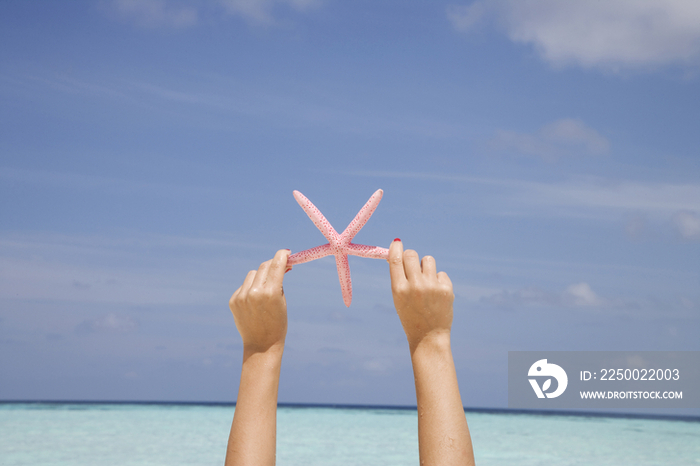 Maldives, Ari Atoll, hands holding a starfish