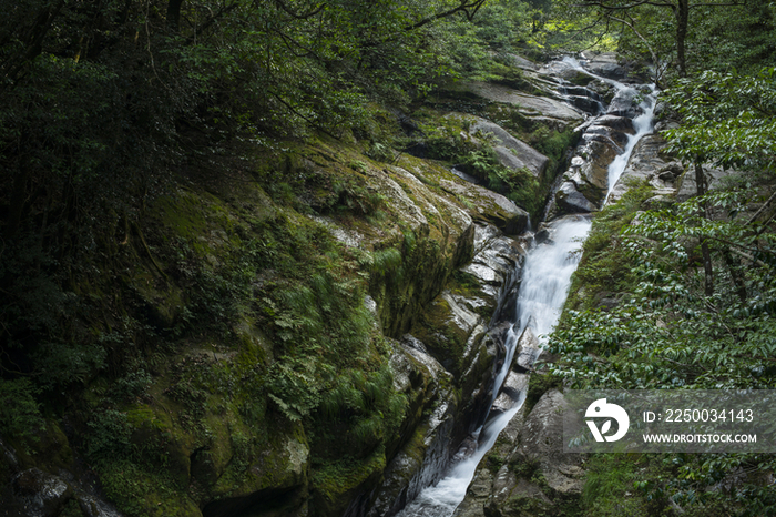 Hiryu Otoshi Falls,Yakushima,Kagoshima,Japan