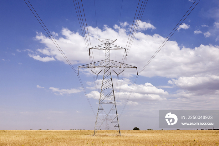 Power Pylon on the Plains