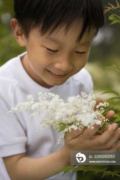 小男孩和植物