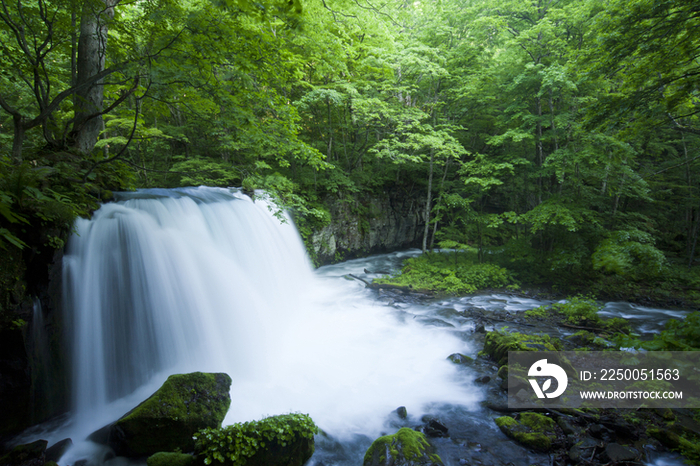 Choshi Waterfall in Oirase River, Aomori, Japan