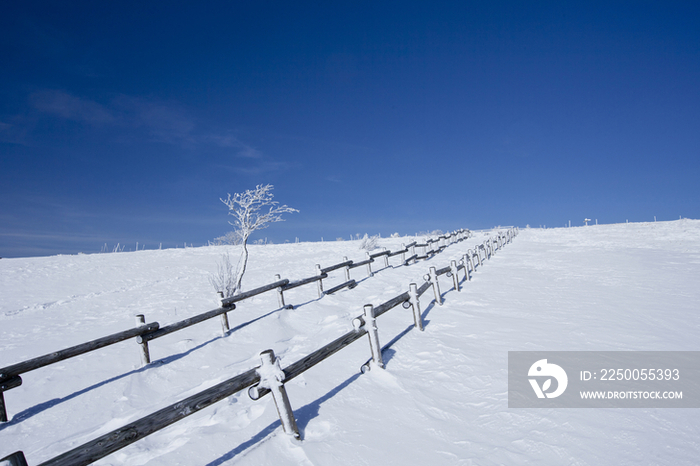 Utsukushigahara Highlands in winter