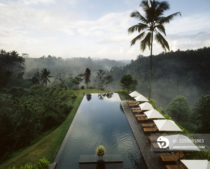 The pool of the Alila Hotel formerly The Chedi, Ubud, overlooking the gorge of the Sayan river Bali