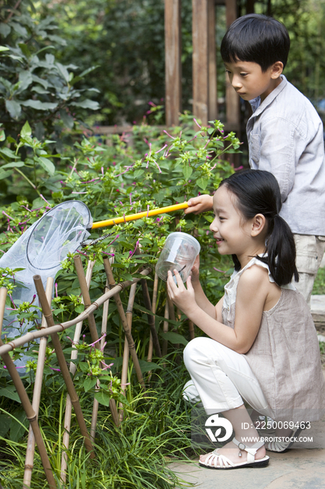 儿童在花园研究昆虫